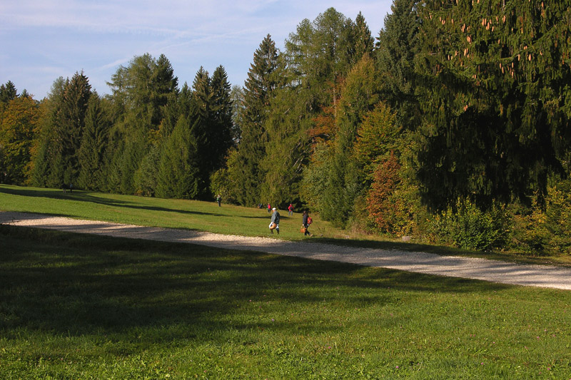 Sella in Valsugana.